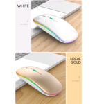 ماوس بی سیم مدل Silent RGB
