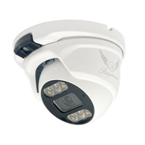 دوربین مداربسته آنالوگ رایمون مدل RD-2MP-H52-AHD